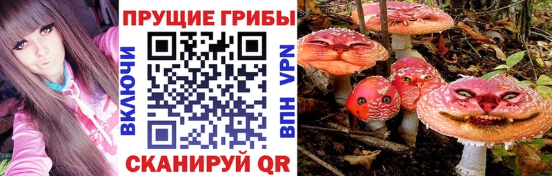 Галлюциногенные грибы ЛСД  Новопавловск 