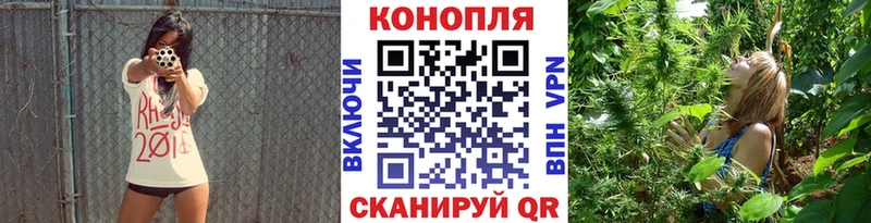 Канабис Ganja  Новопавловск 